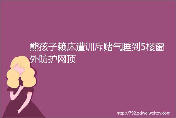 熊孩子赖床遭训斥赌气睡到5楼窗外防护网顶